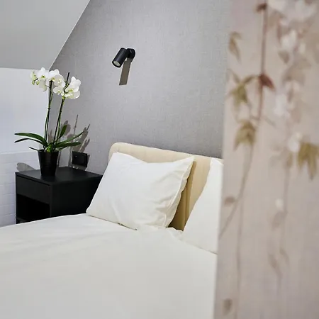 Scoria 住宿加早餐酒店